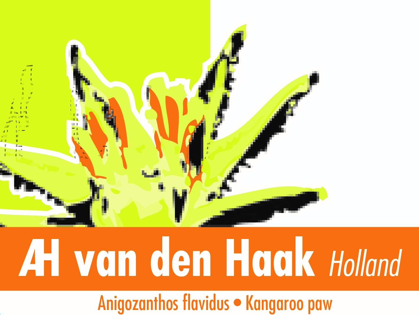 AH van den Haak